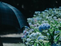 距離を置いても、どんな道を選んでも、ばかばかしくて憎めない恋人