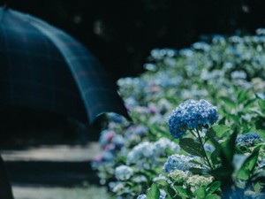 距離を置いても、どんな道を選んでも、ばかばかしくて憎めない恋人