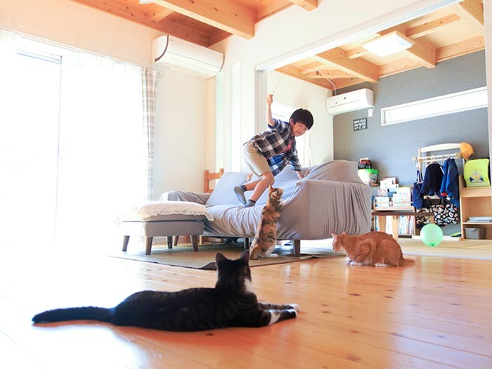 長男（7歳）がタクト（猫じゃらし）を振る！