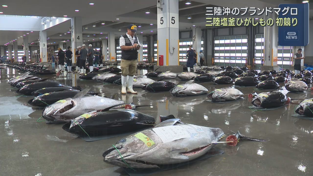ブランドマグロ三陸塩釜ひがしもの　今季の初競り　宮城・塩釜市魚市場