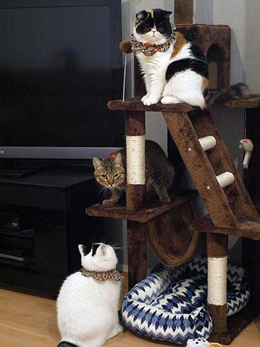 なんとか奇跡的に撮れた３ショット