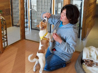 犬の殺処分ゼロめざし、ＰＷＪが福山に全国４番目の譲渡拠点