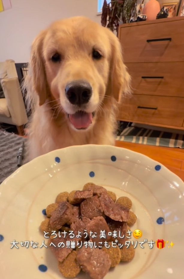 エルちゃんにもお肉をおすそ分け（「ガチムチゴールデンエルの３兄弟」さん提供、Instagramよりキャプチャ撮影）