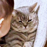 「近いよ」ちょっぴり渋い顔になるはまくん（画像提供：ごまちよ 0y(2024.07)さん）