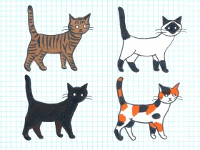 茶トラは人懐っこい、白ネコはよそよそしい　毛色と模様で性格が読み取れるって本当？