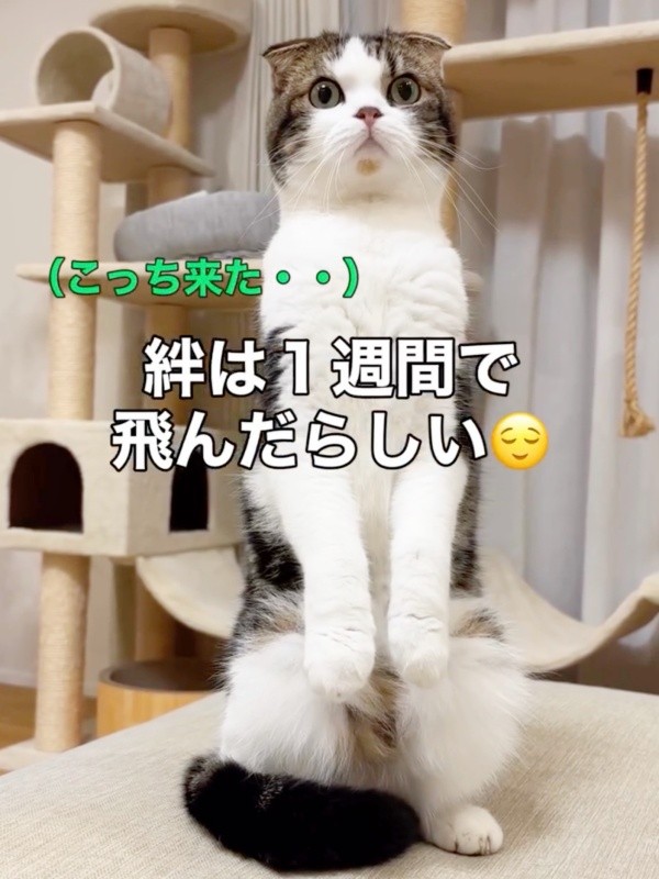 パパのことが思い出せないこたろうくん。驚いて二足立ちに（画像提供：こたとつーちゃんと時々おたまさん）