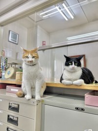 ロイ常務（右）と社員のちくわ（画像提供：三協精器）