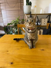 誰がビビリだって？＝ふれあとカン吉さん（@flare20200523）提供