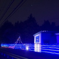 幻想的なライトアップが楽しめるのは9月中旬まで（提供）