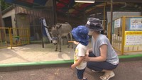 【資料画像】池田動物園