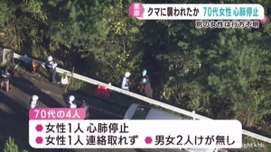 クマに襲われたか　女性が心肺停止　共に入山の女性も行方不明　宮城・栗原市