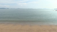 資料　海