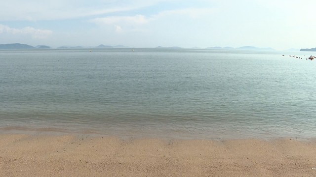 資料　海