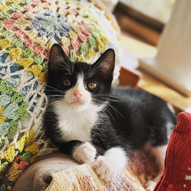 まったり佇むひととき