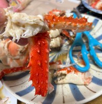 足の部分も二重／杉谷龍一さん（@kitaboshi_）提供