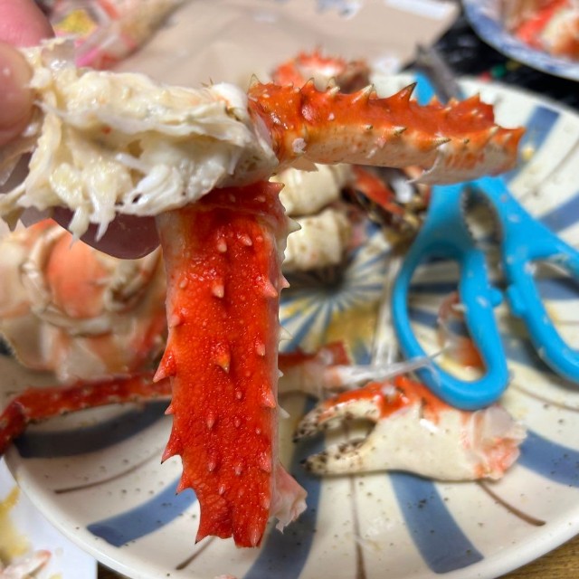 足の部分も二重／杉谷龍一さん（@kitaboshi_）提供