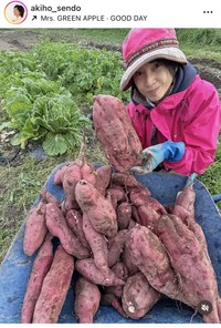 千堂あきほインスタグラム＠akiho_sendoより