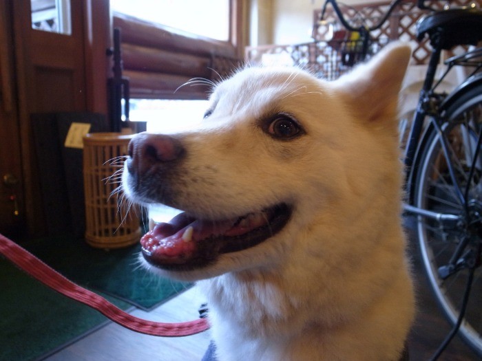 少し馴れてきたら笑顔もバッチリ