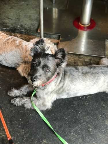 キャンディの行きつけのカフェにて