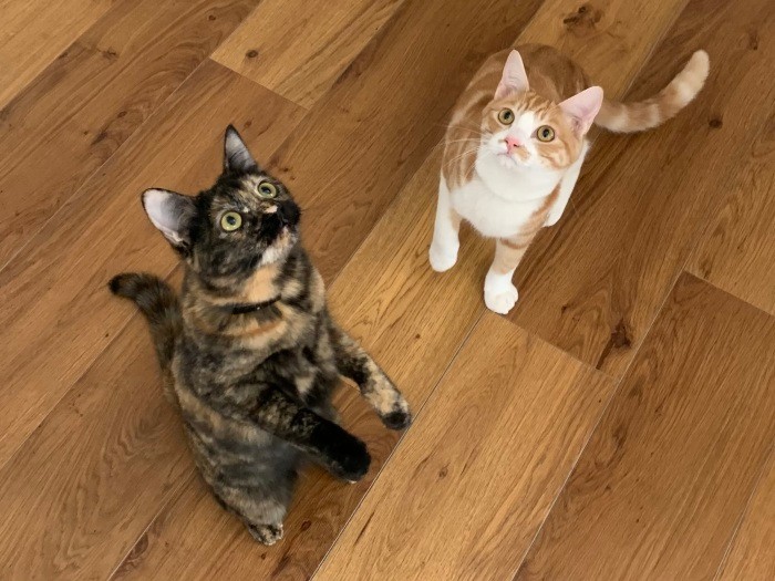 これからもずっと一緒（ゆりさん提供）

