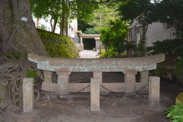 記録写真】1914（大正3）年の「桜島大正噴火」の様子：朝日新聞