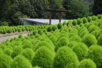 提供：国営讃岐まんのう公園