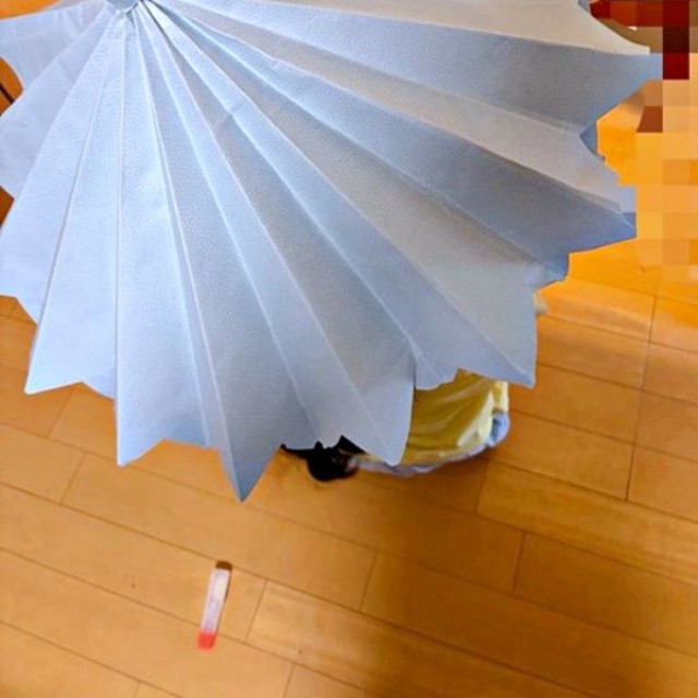 厚紙で作った傘を開くとーーきれいな折り目があらわれました（画像提供：みつ。ガーデニング家庭菜園さん）