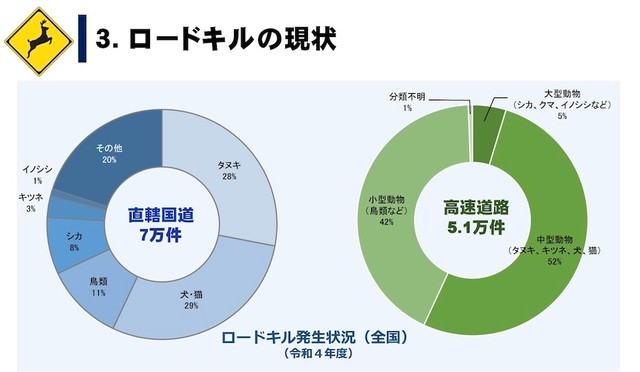 全国のロードキル（動物死亡事故）の発生状況（令和4年度）（画像：国土交通省・公式サイトより抜粋）