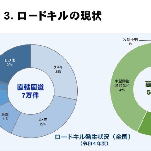 全国のロードキル（動物死亡事故）の発生状況（令和4年度）（画像：国土交通省・公式サイトより抜粋）