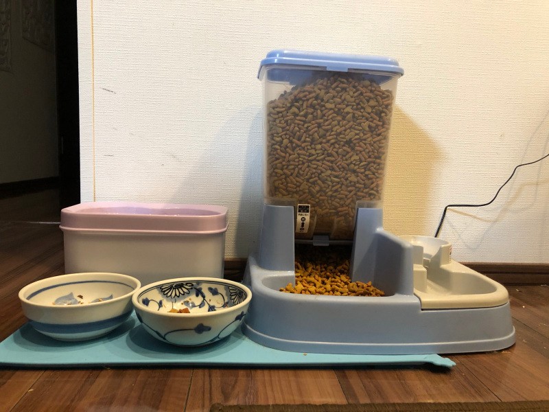 水もたっぷり汲み置きを。猫を部屋に置いていかざるを得ない場合、辻さんはドライフードの袋を“十字”に切っていく予定（扶桑社提供）