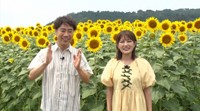 8月24日放送「新婚さんいらっしゃい！」より（C）ABCテレビ