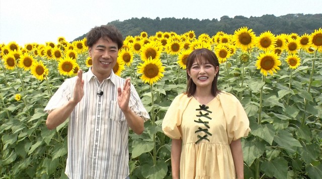 8月24日放送「新婚さんいらっしゃい！」より（C）ABCテレビ