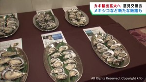 宮城県産カキの輸出拡大へ意見交換会　処理水放出などが課題
