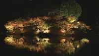 栗林公園で秋のライトアップ始まる　売店など夜間営業も　香川