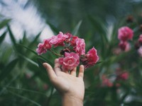 好きと言えない生き方。どこまでいけば「好き」と言っても許される？