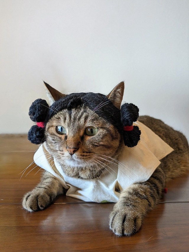 実際に猫ちゃんが着用したみずら！（提供：ネコノテ堂/ NEKONOTE Handmade Shopさん）