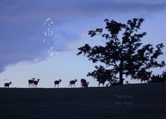 ニューリリースのアルバム『たゆたふ -Tayutau-』（ジャケット写真＆筆文字　平井景）