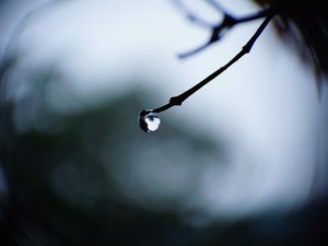 終わりを妄想し、感情を揺さぶられる夜。「涙活」で幸福を夢見る