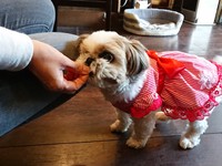 お客様とのコミュニケーションもばっちり！