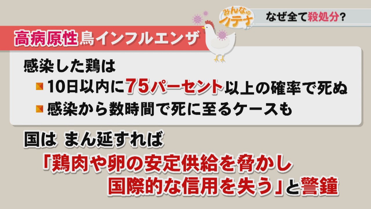 鳥 インフルエンザ なぜ 殺 処分