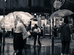 突然のセクハラ被害の屈辱と、報告したことで受けたもう一つの屈辱。