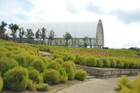 復旧作業中（国営讃岐まんのう公園 9月8日撮影）