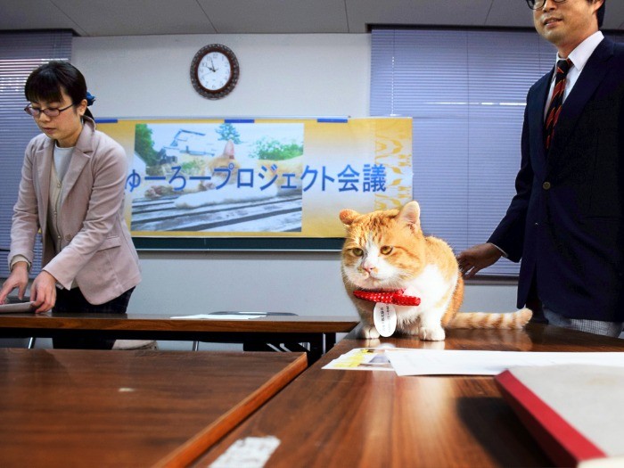 自身のプロジェクト会議に備えるさんじゅーろー＝岡山県高梁市横町、中村通子撮影
