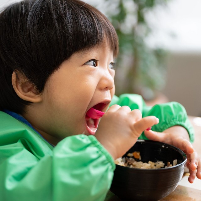 汁物のお椀なら食べてくれる　※画像はイメージです（kapinon/stock.adobe.com）