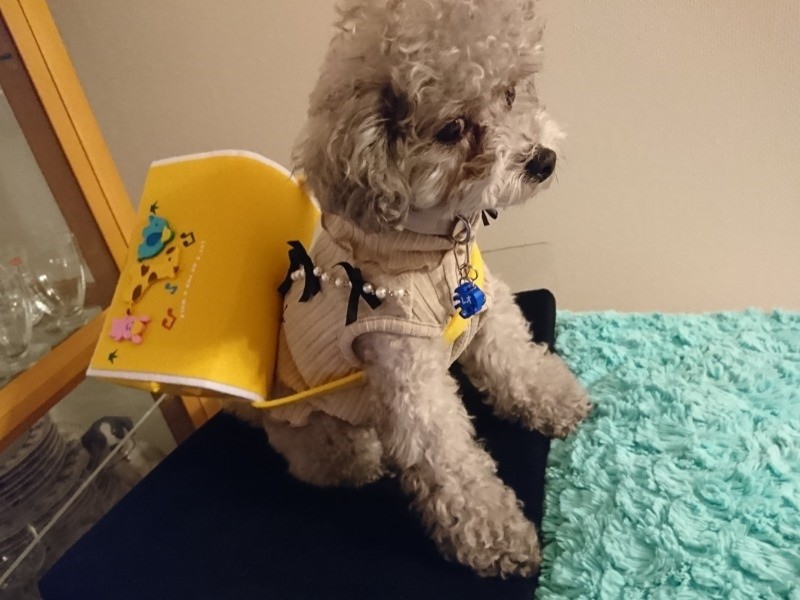 幼稚園風「僕、友達できるかな」　（りえさん提供）