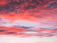 「ずっと一緒」が言えなくなった。私の知らない未来で幸せになってね