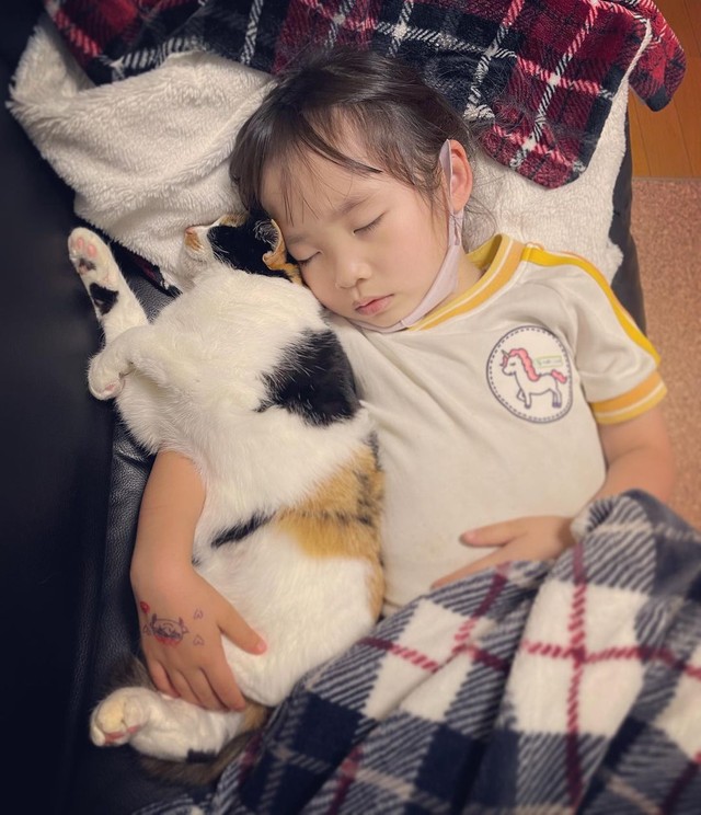 遊び疲れてぐっすり（猫はあさりちゃん）