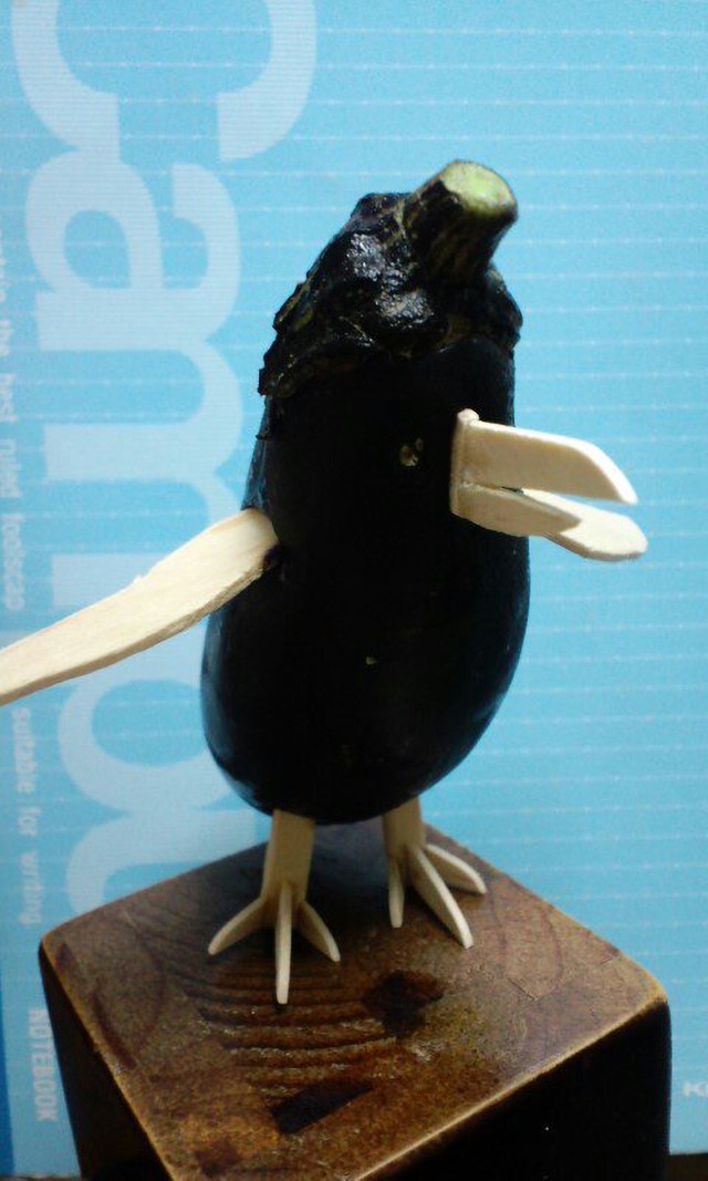 なんとペンギンさん！（たもさん提供）
