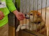 殺処分ゼロめざす新拠点　三重県に動物愛護推進センター