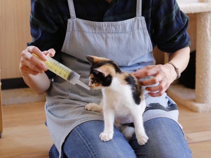 シリンジを見ると、においをクンクン。「早く口から食べられるようになりたいね」
